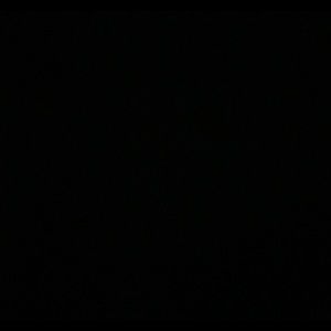 Meet your Posher, Gary