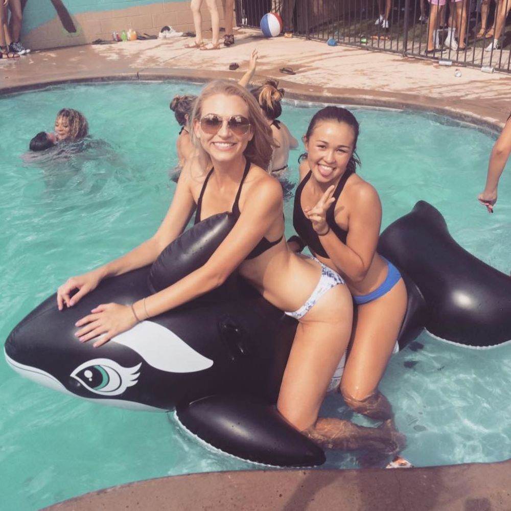 Meet your Posher, Payton