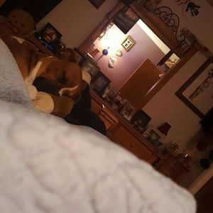 Meet your Posher, Heather