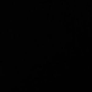 Meet your Posher, Kelleigh