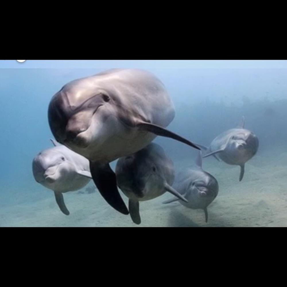 Meet your Posher, Kat