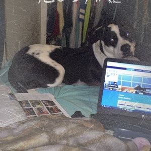 Meet your Posher, Brooke