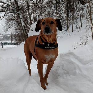 Meet your Posher, Barbara