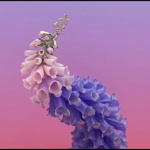 Meet your Posher, Ella