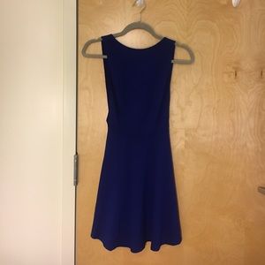 American Apparel Ponte Sleeveless Skater Dress