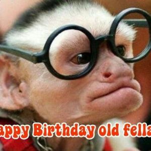 Meet your Posher, Pam