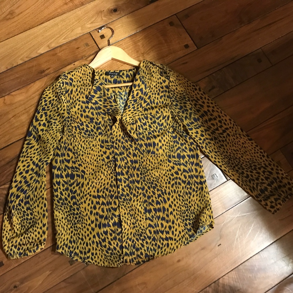 Animal Print Long Sleeves