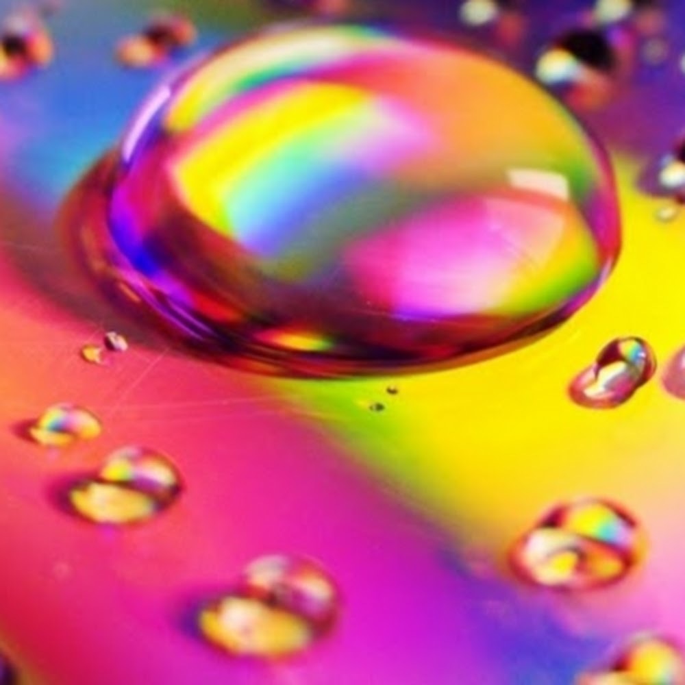 Meet your Posher, Lash