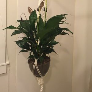 2 piece set Macrame hangers