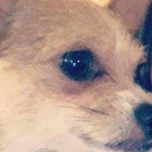 Meet your Posher, Sunshine