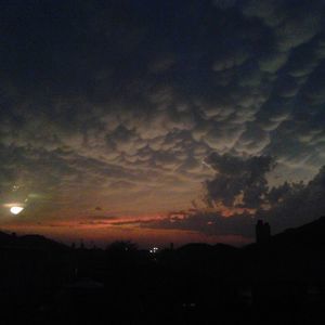 Meet your Posher, Latoya