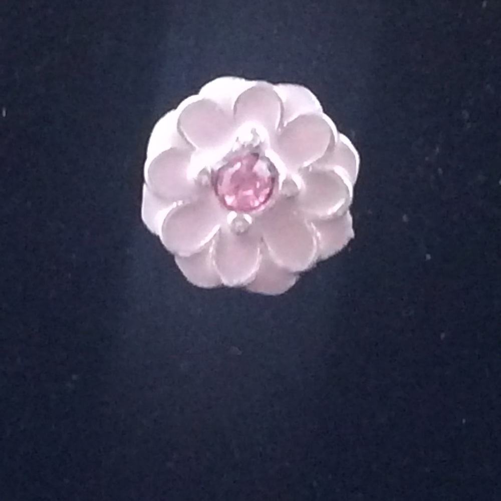 925. Sterling Silver Flower Stud.Earrings💕