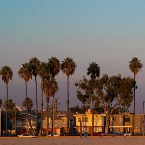 Meet your Posher, Kevin