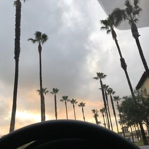 Meet your Posher, Reyna