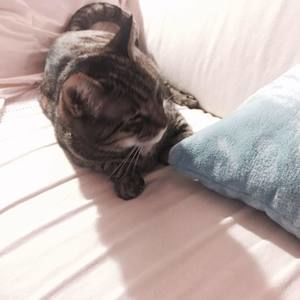 Meet your Posher, Serena