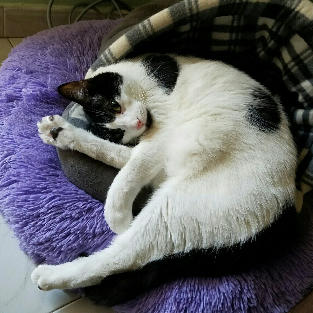 Meet your Posher, Mei