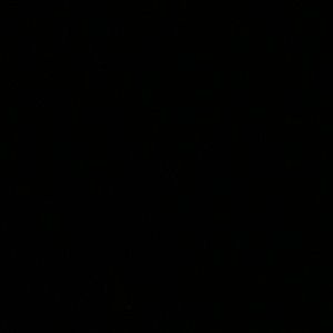 Meet your Posher, Lorena