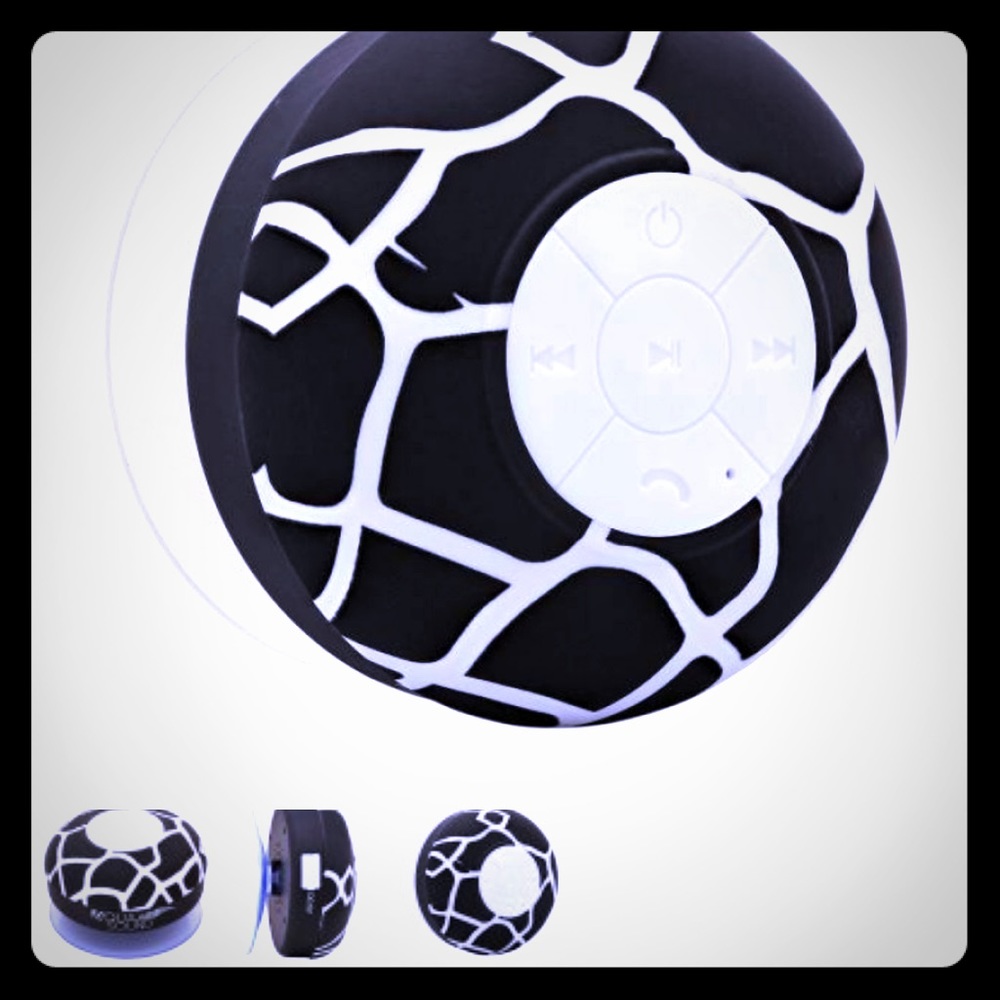 Shower speaker
