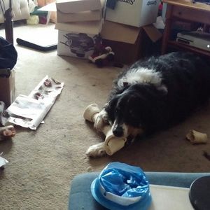 Meet your Posher, Donna