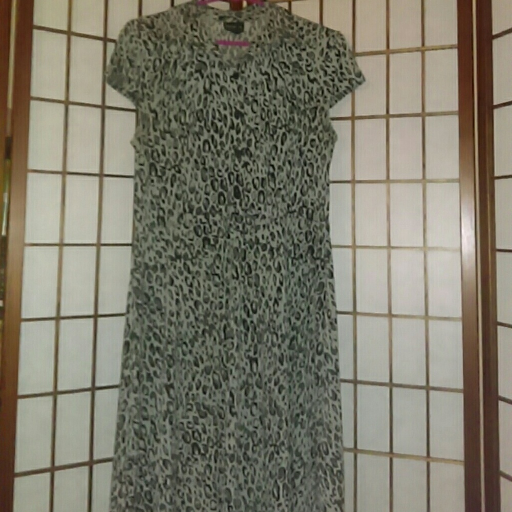 En Focus Studio dress so 10