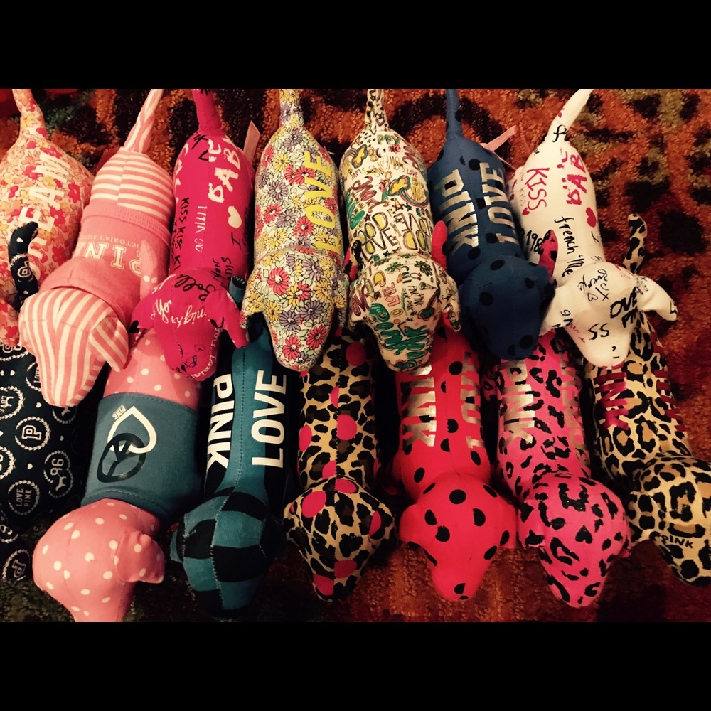 Vs display dogs