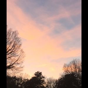 Meet your Posher, Trinity