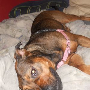 Meet your Posher, Jessica