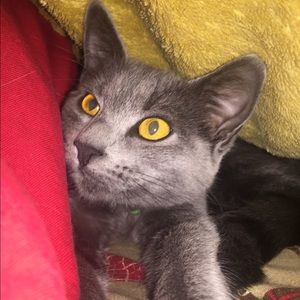 Meet your Posher, Elizabeth