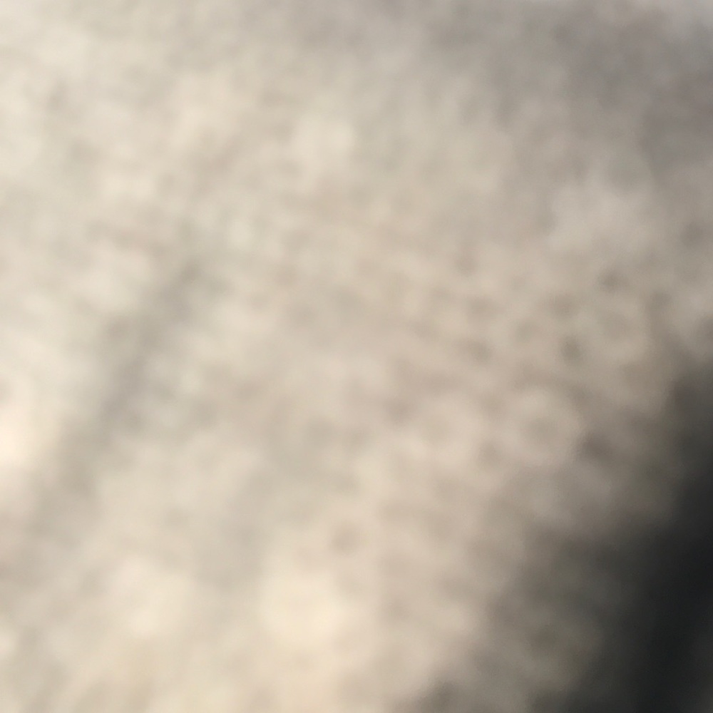 Meet your Posher, Yasmin