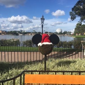 Meet your Posher, Dawn