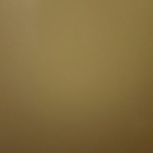 Meet your Posher, Tavaris