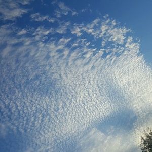 Meet your Posher, Soo