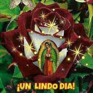 Meet your Posher, Chyky