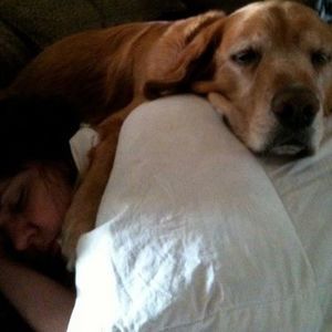 Meet your Posher, Connie