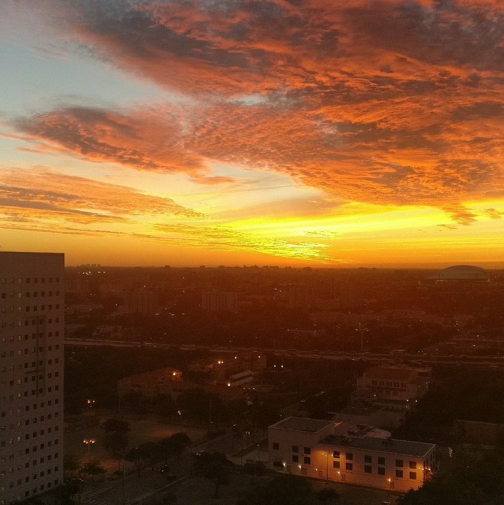 Meet your Posher, Francis