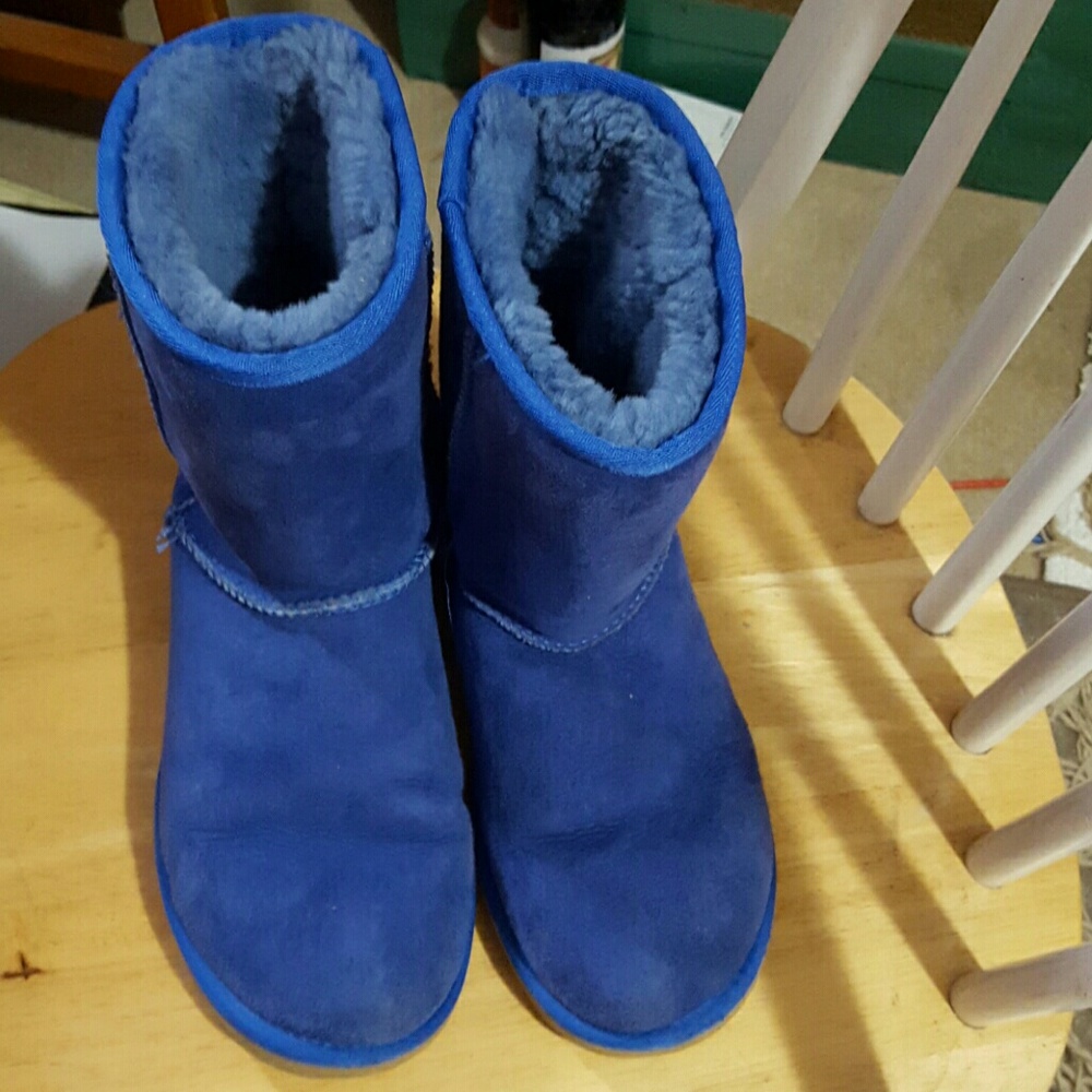 Bright Blue uggs