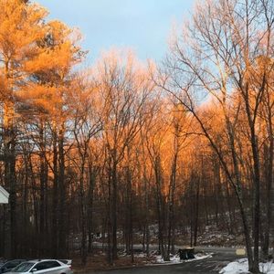 Meet your Posher, Bryan