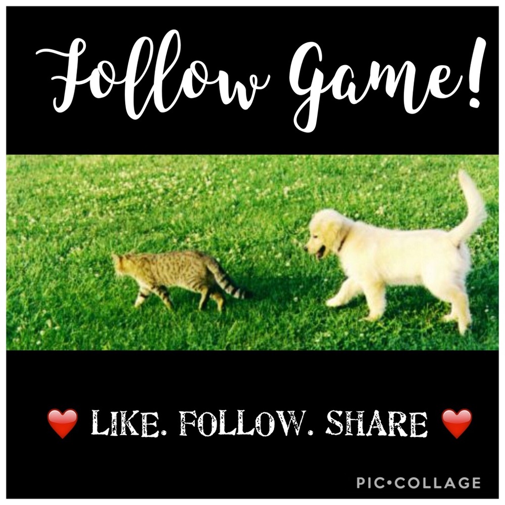 Follow Game!