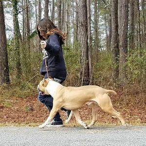 Meet your Posher, Bella-ann