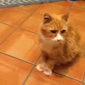 Meet your Posher, Cathy