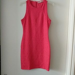 Zara lace sheath dress