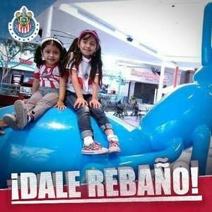 Meet your Posher, Natasha