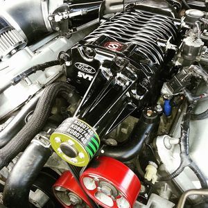 Meet your Posher, Dynobob