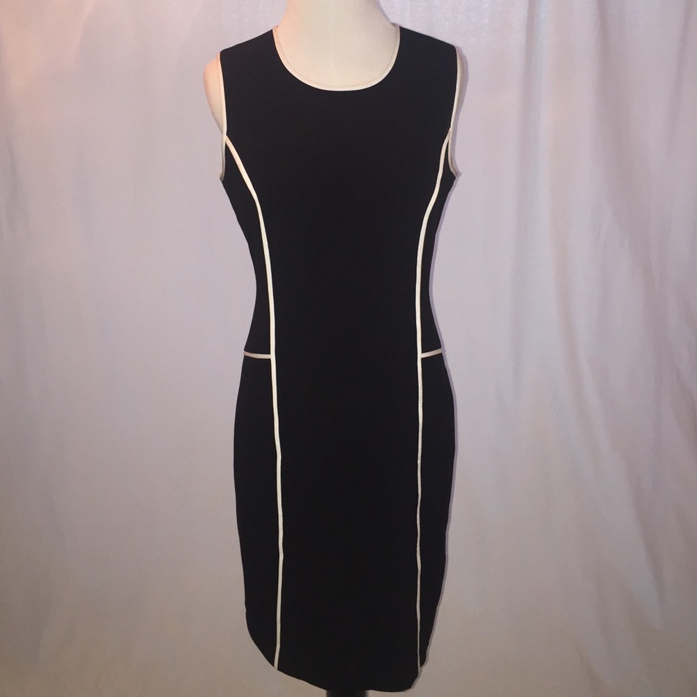 Calvin Klein Paneled Sheath Dress