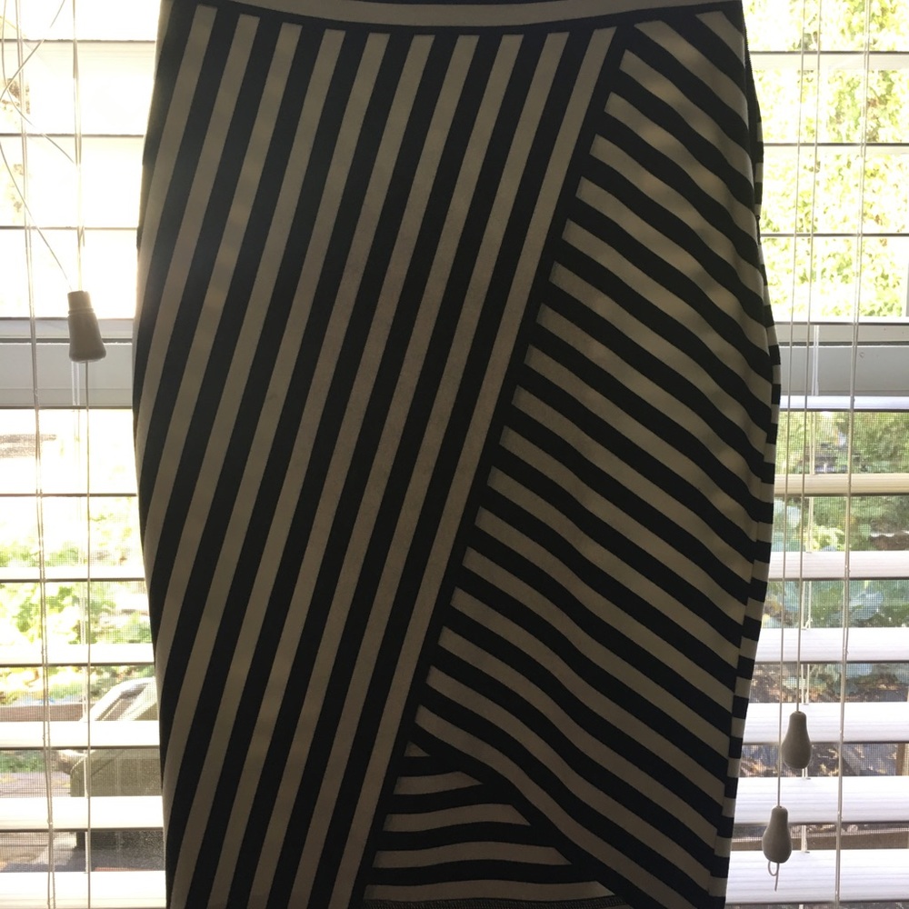 Express Pencil Skirt