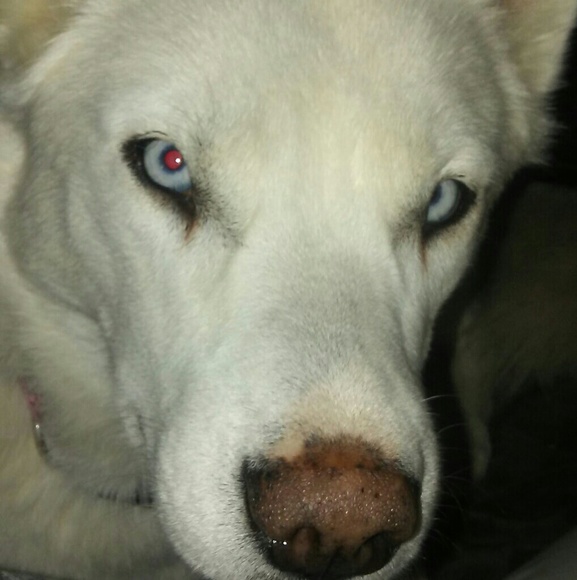 Meet your Posher, Beth - Picture 3 of 4