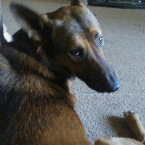 Meet your Posher, Beth - Picture 2 of 4