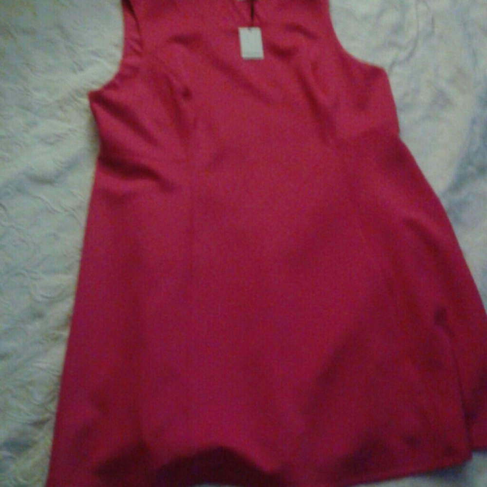 Calvin Klein plus size dress