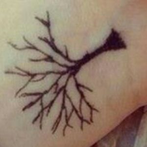 Meet your Posher, Selina