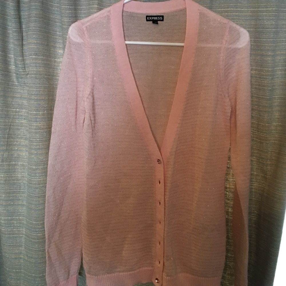 Express sheer pink sweater